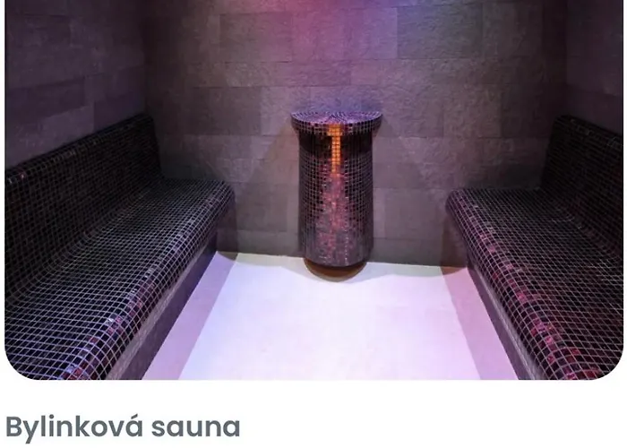 David - Jasna Demenova Welnes Sa Nachadza V Areali Via Jasna *