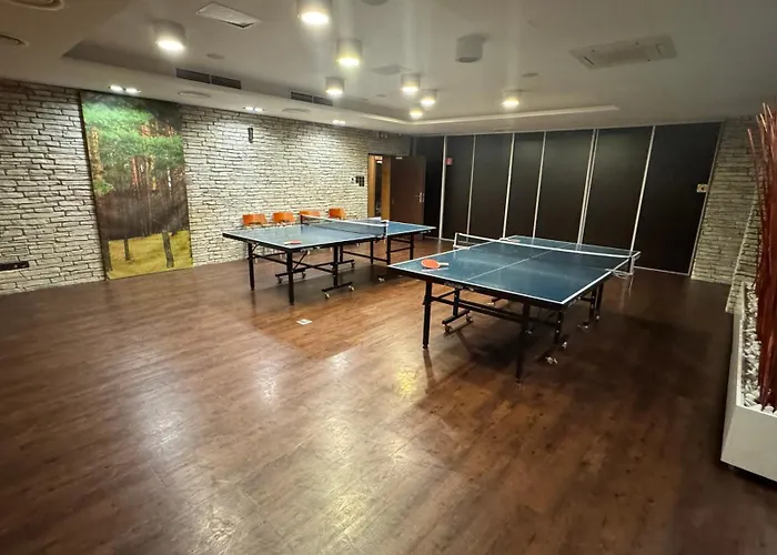 David - Via Jasna Demenova Welnes Apartment *