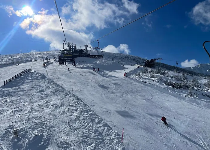 David - Via Jasna Demenova Welnes Apartment